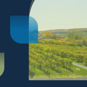 AGA, visite et dégustation